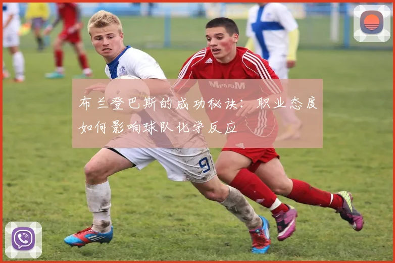 布兰登巴斯的成功秘诀：职业态度如何影响球队化学反应