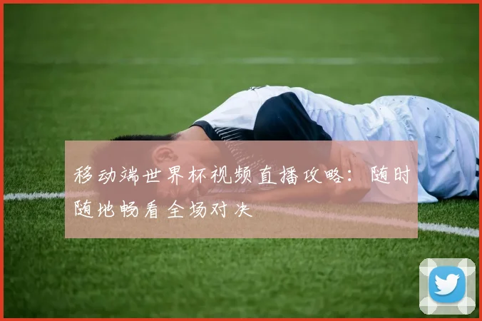 移动端世界杯视频直播攻略：随时随地畅看全场对决